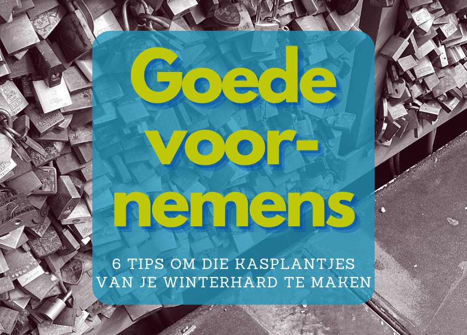 Goede voornemens: zes tips om te blijven schrijven